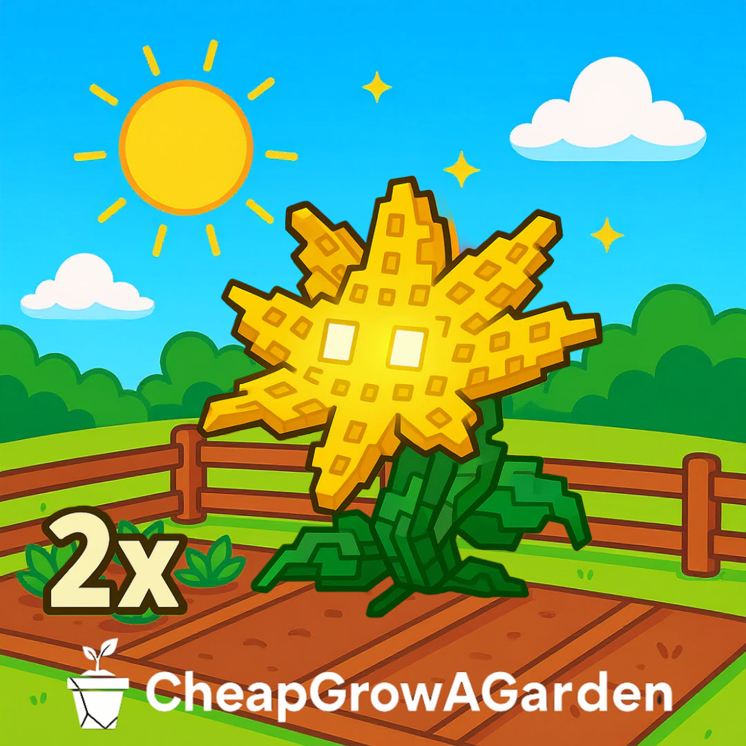 2x Honeysuckle Fruit - 1.4QD